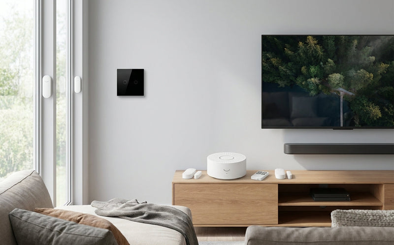 Smart Home Entertainment